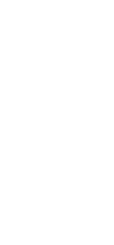 visual_logo